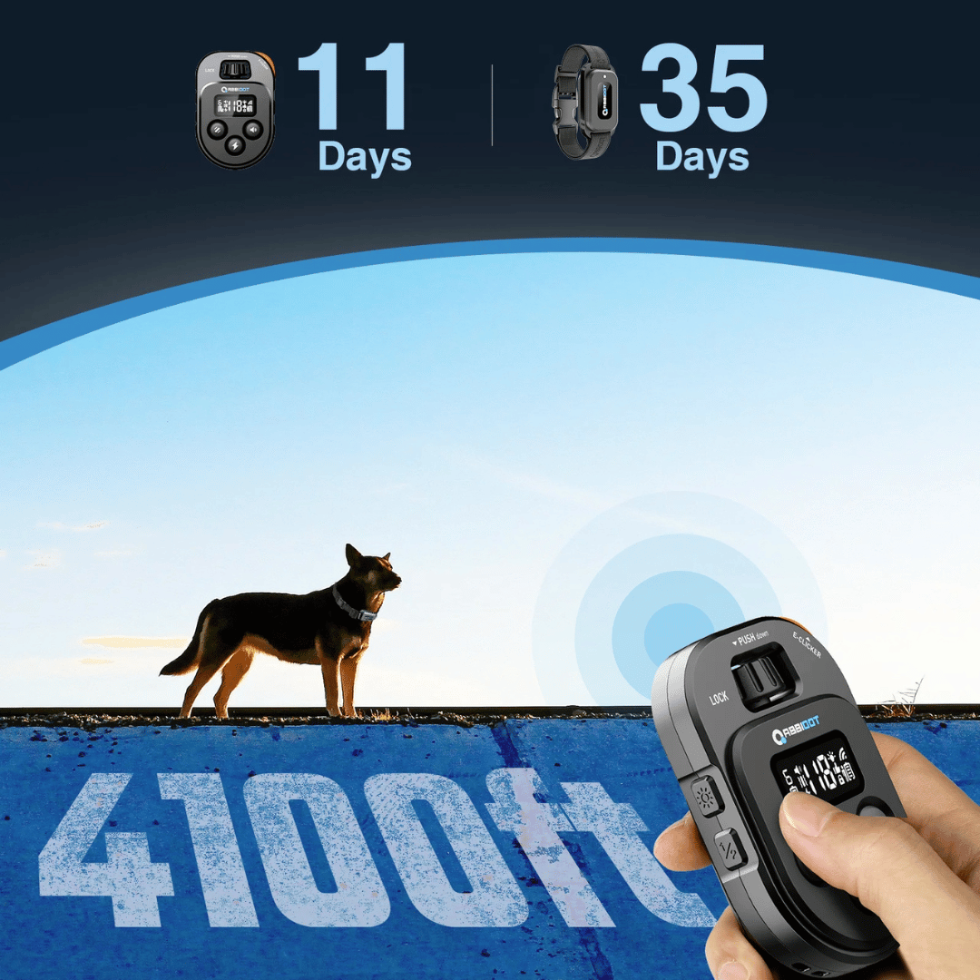 Long Distance 1250m Dog Training Collar with Remote Control 7