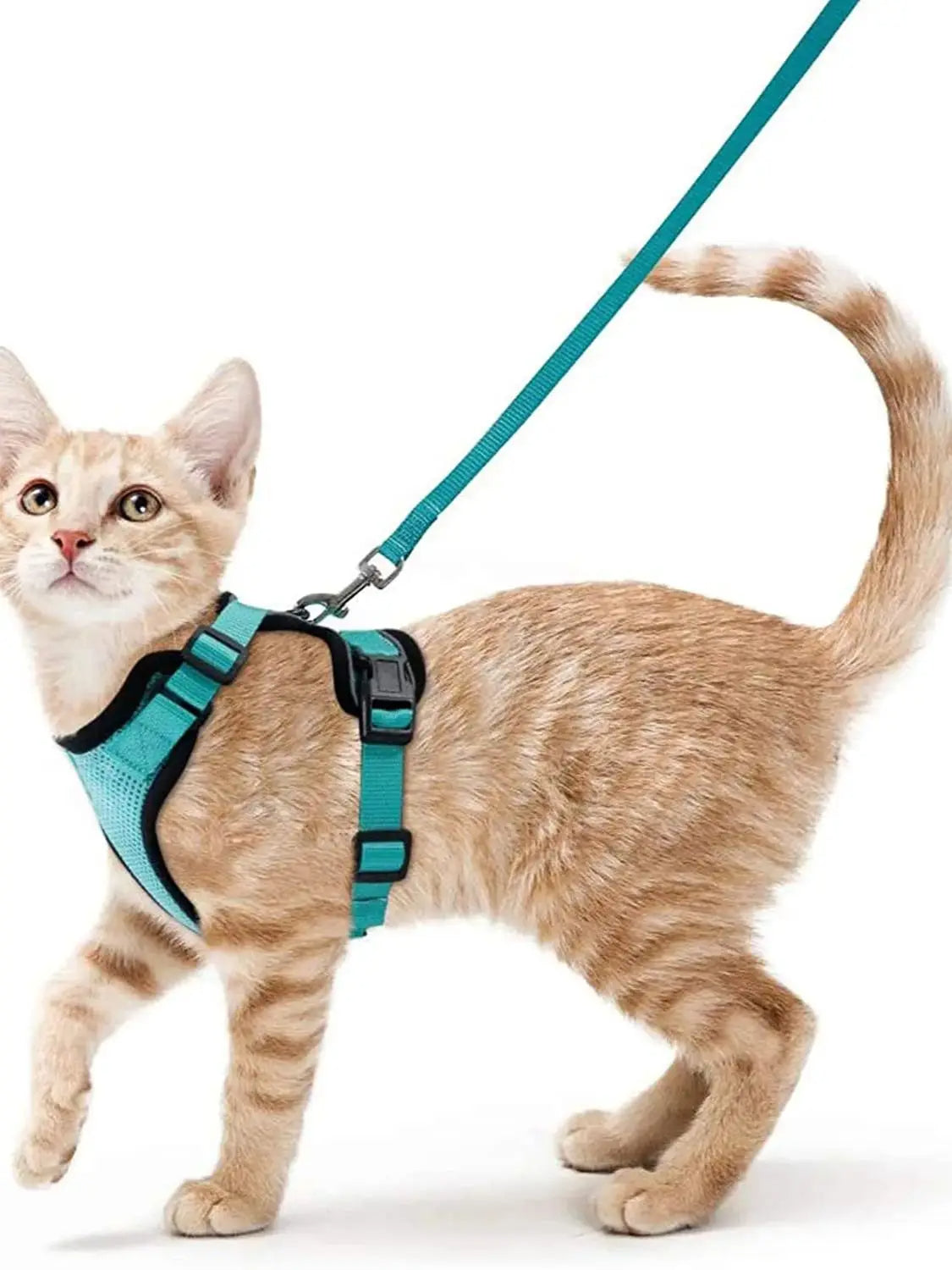 Easy-On-&-Off Soft Mesh Cat Harness & Leash Set 11