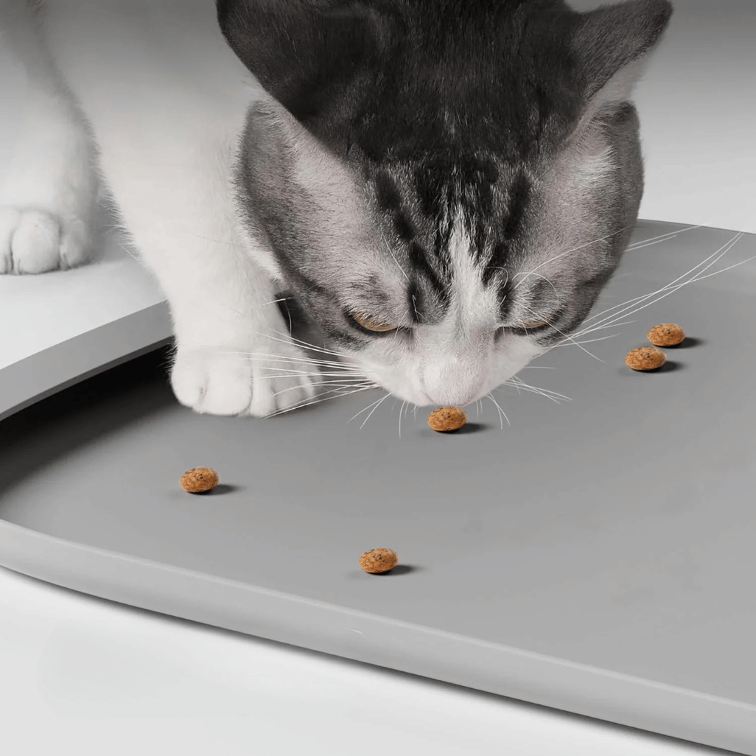 No-Spill Silicone Cat Food & Dog Bowl Mat with Raised Edges 2