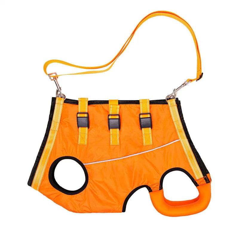Dog Lift Harness for Injured & Senior Dogs with Arthritis | Adjustable Full Body Dog Support Sling for Rehab 2