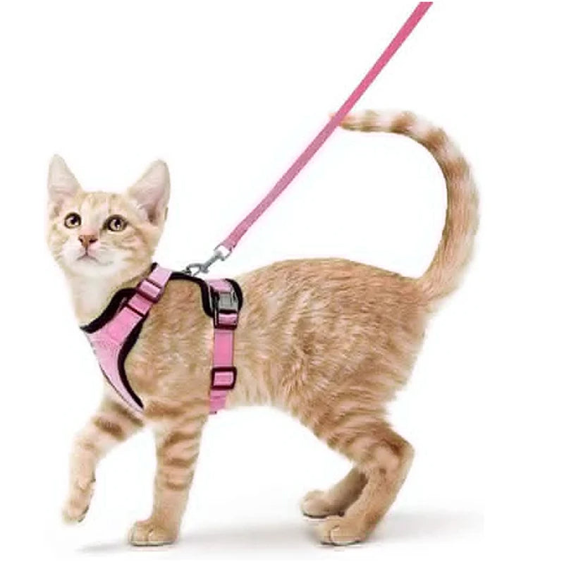 Easy-On-&-Off Soft Mesh Cat Harness & Leash Set 5