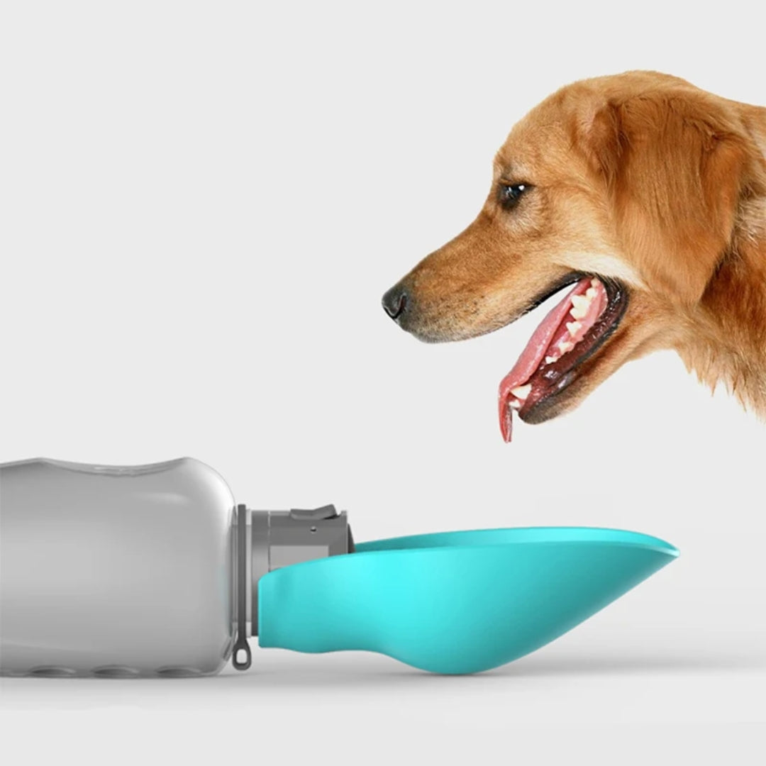 Portable Dog Water Bottle 3