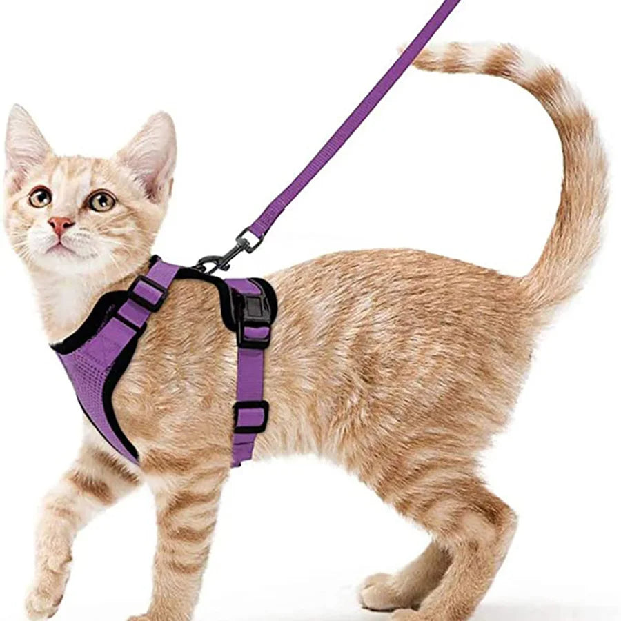 Easy-On-&-Off Soft Mesh Cat Harness & Leash Set 13