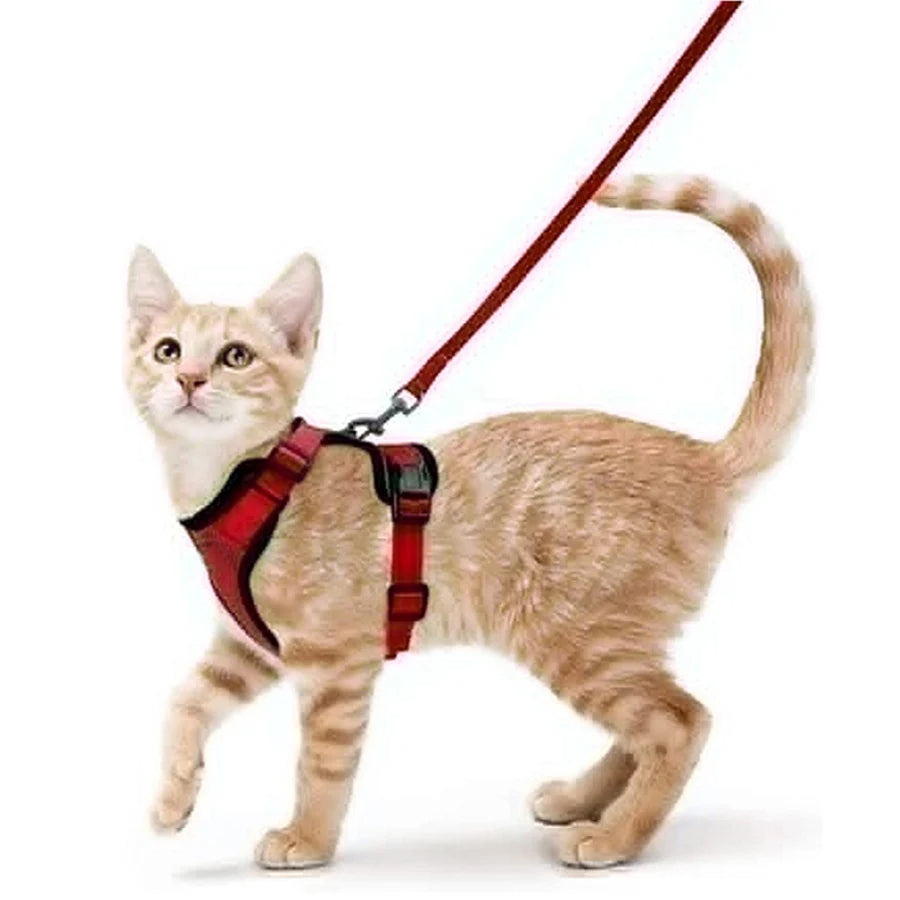 Easy-On-&-Off Soft Mesh Cat Harness & Leash Set 9