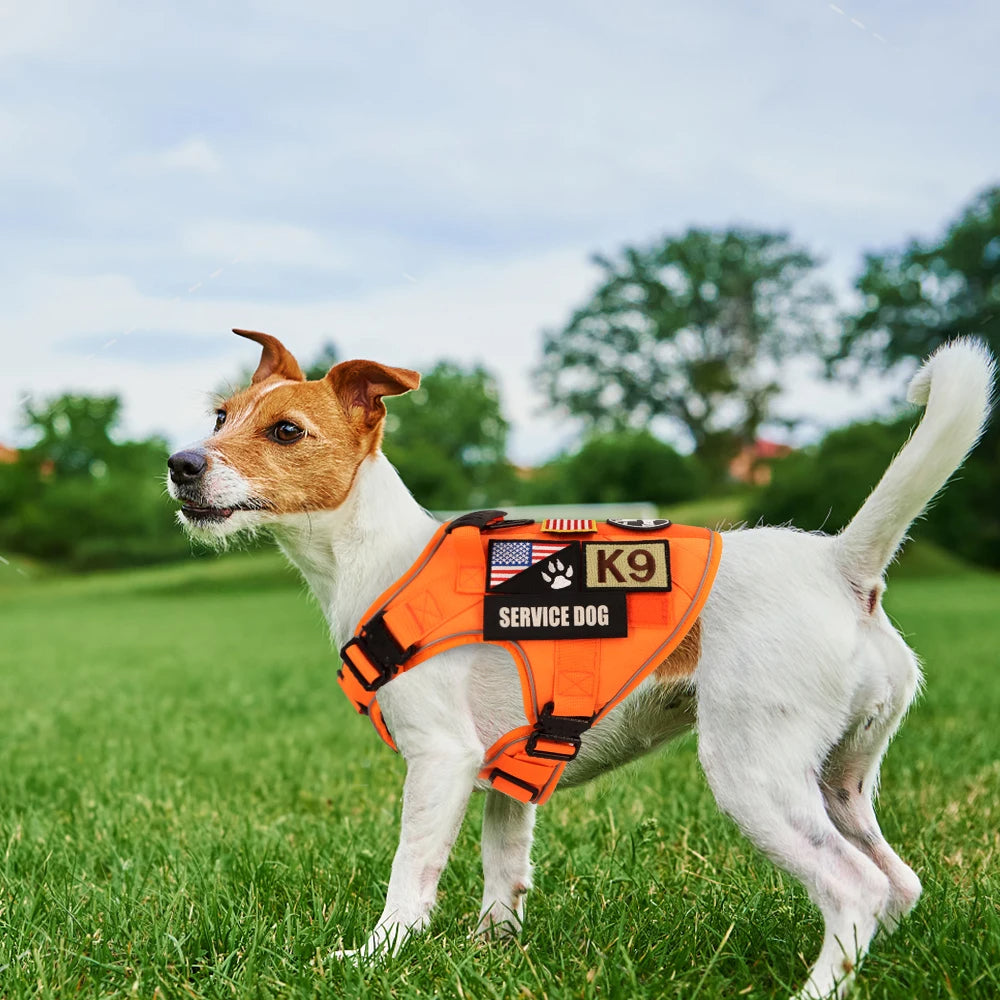 Reflective Orange Dog Harness with Collar, Leash & Pouch Set Options | Tactical Dog Training Vest 19
