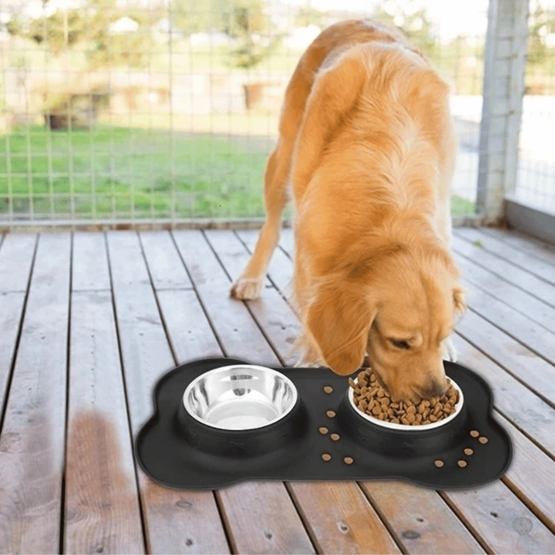 Stainless Steel Dog Bowls & Silicone Mat 2
