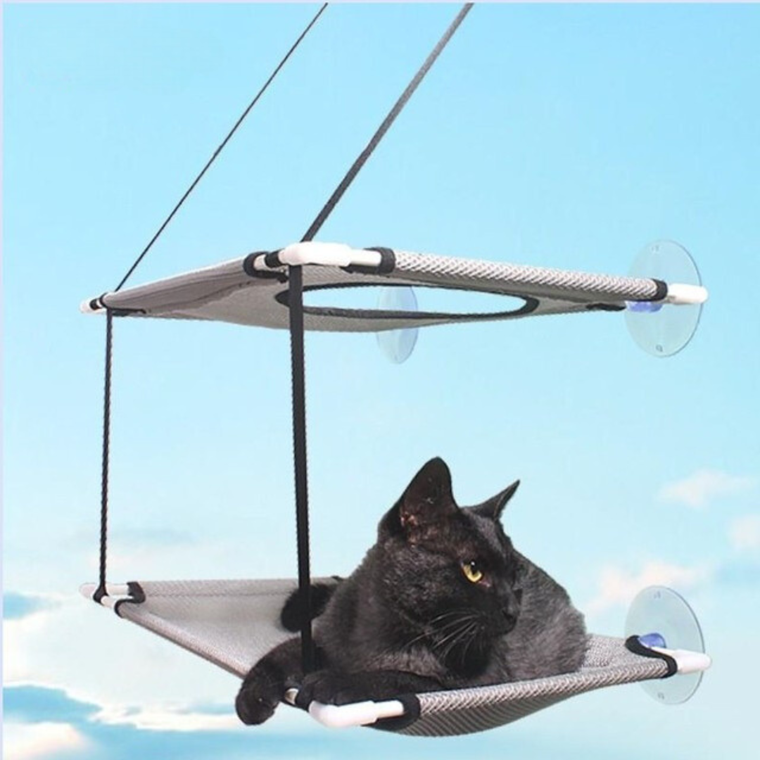 Sturdy Cat Window Hammock Perch 3