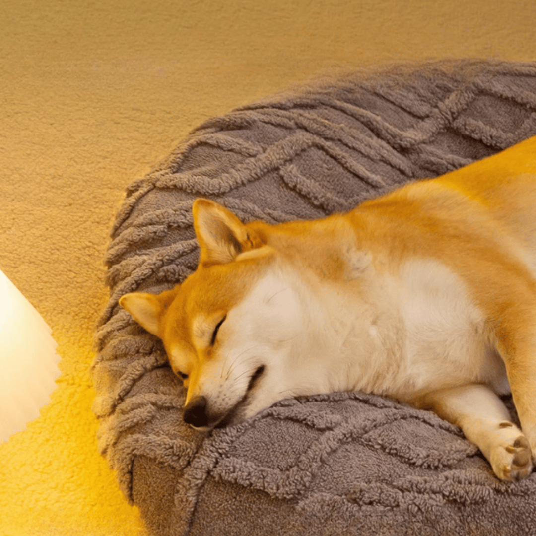 Thick & Cosy Aran Pattern Dog Pillow 6