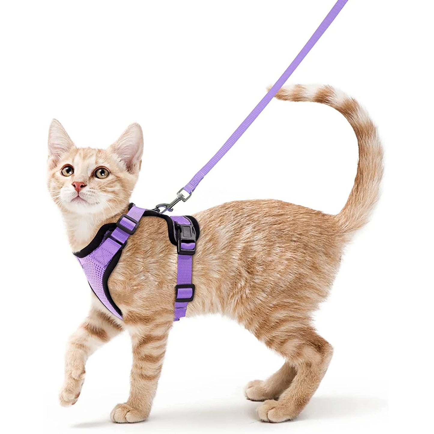 Easy-On-&-Off Soft Mesh Cat Harness & Leash Set 12