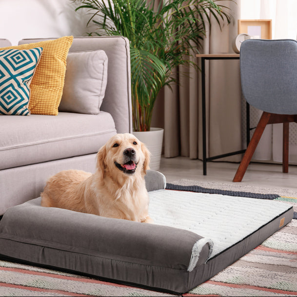 xl-orthopedic-memory-foam-dog-bolster-bed-for-large-dogs-11