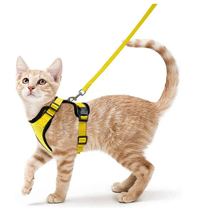 Easy-On-&-Off Soft Mesh Cat Harness & Leash Set 6