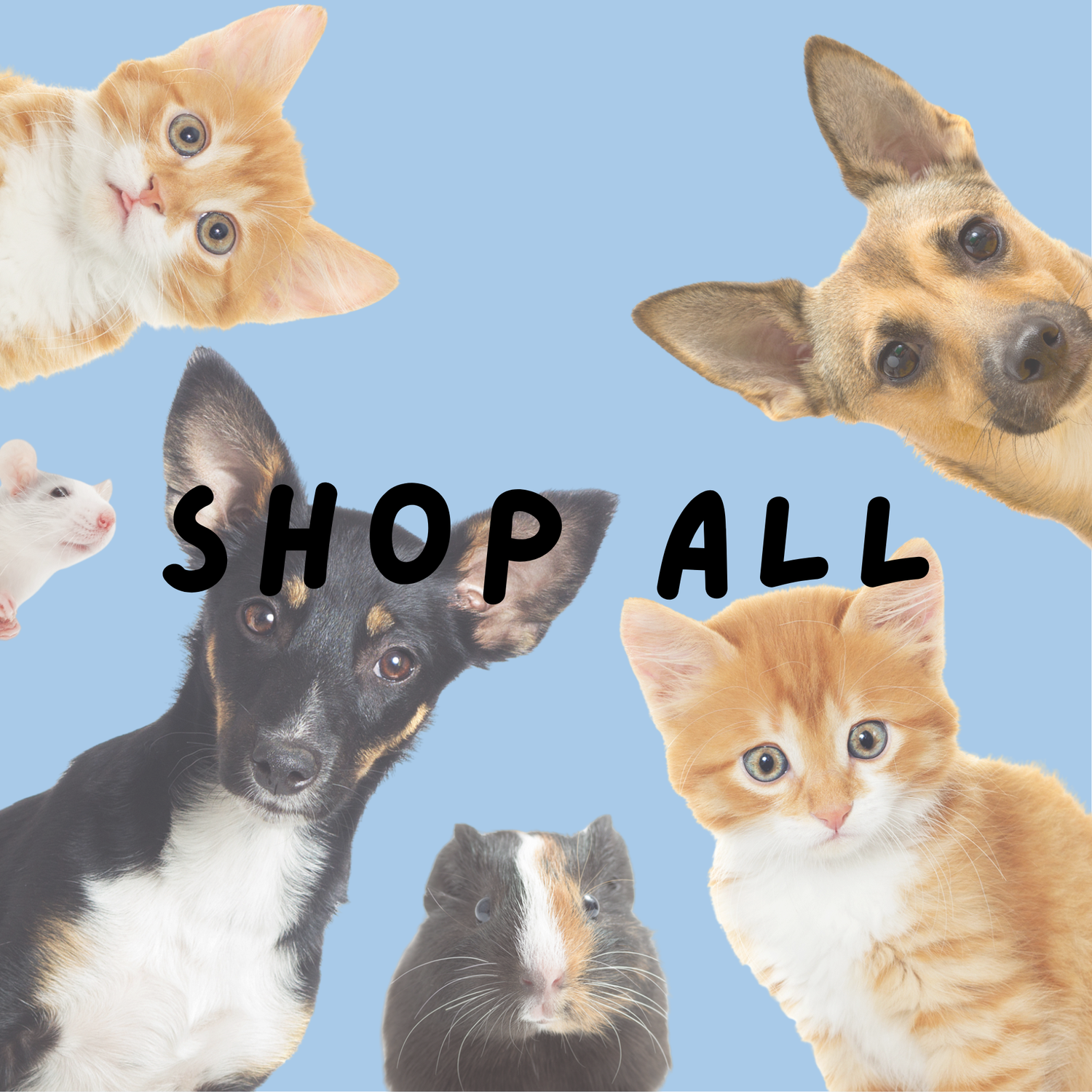 All Products