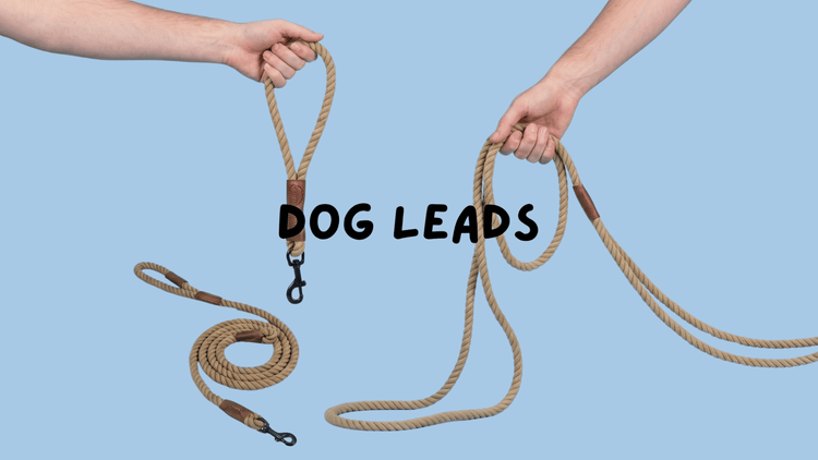 DOG LEADS