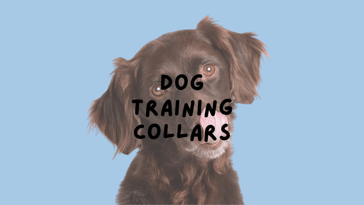 DOG TRAINING COLLARS