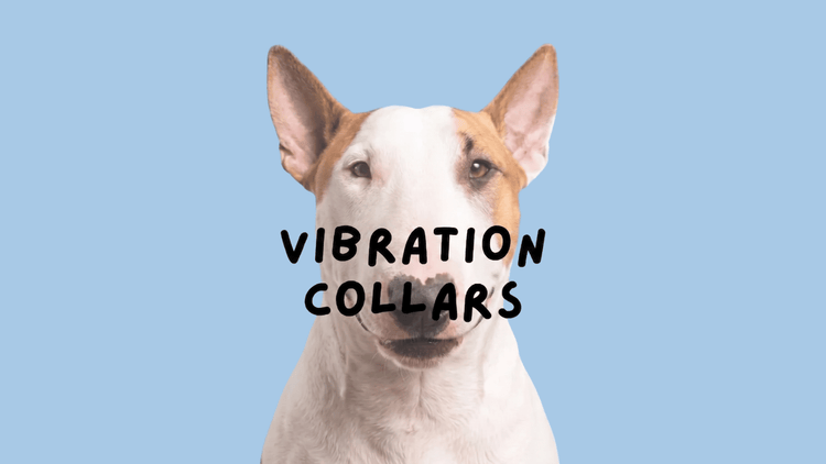 VIBRATION COLLARS