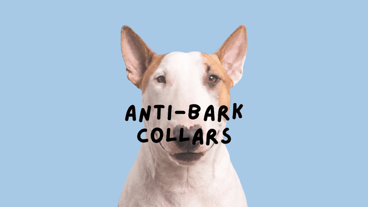ANTI-BARK COLLARS
