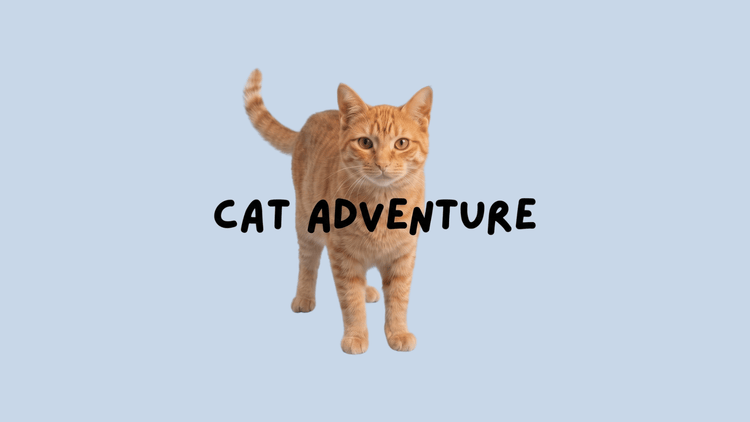 CAT ADVENTURE