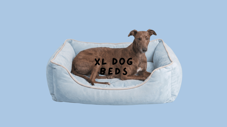 XL DOG BEDS