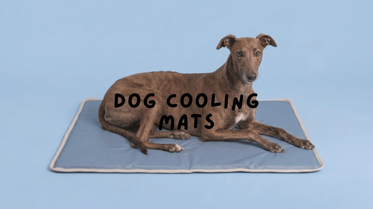 DOG COOLING MATS