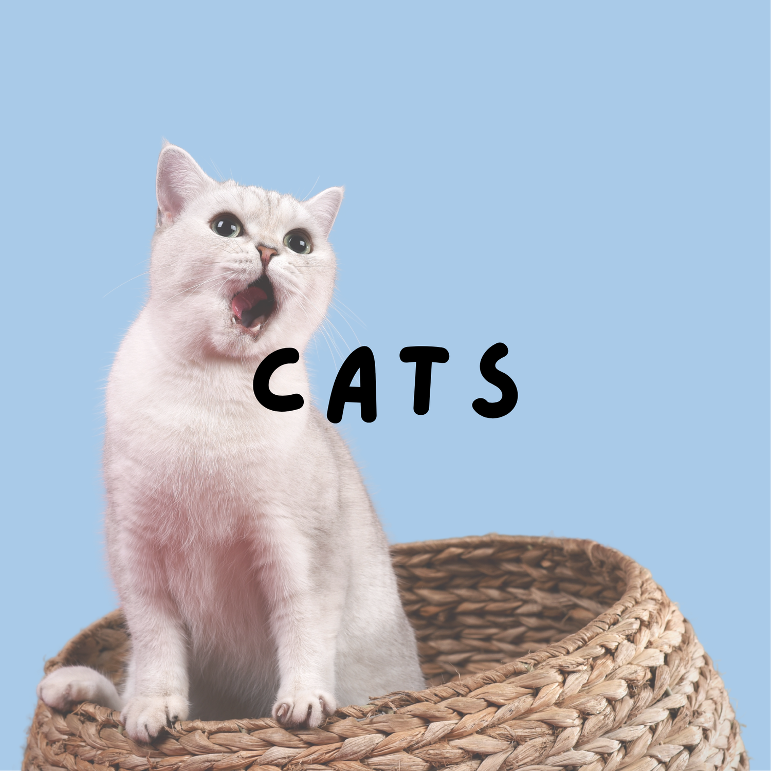 Cats
