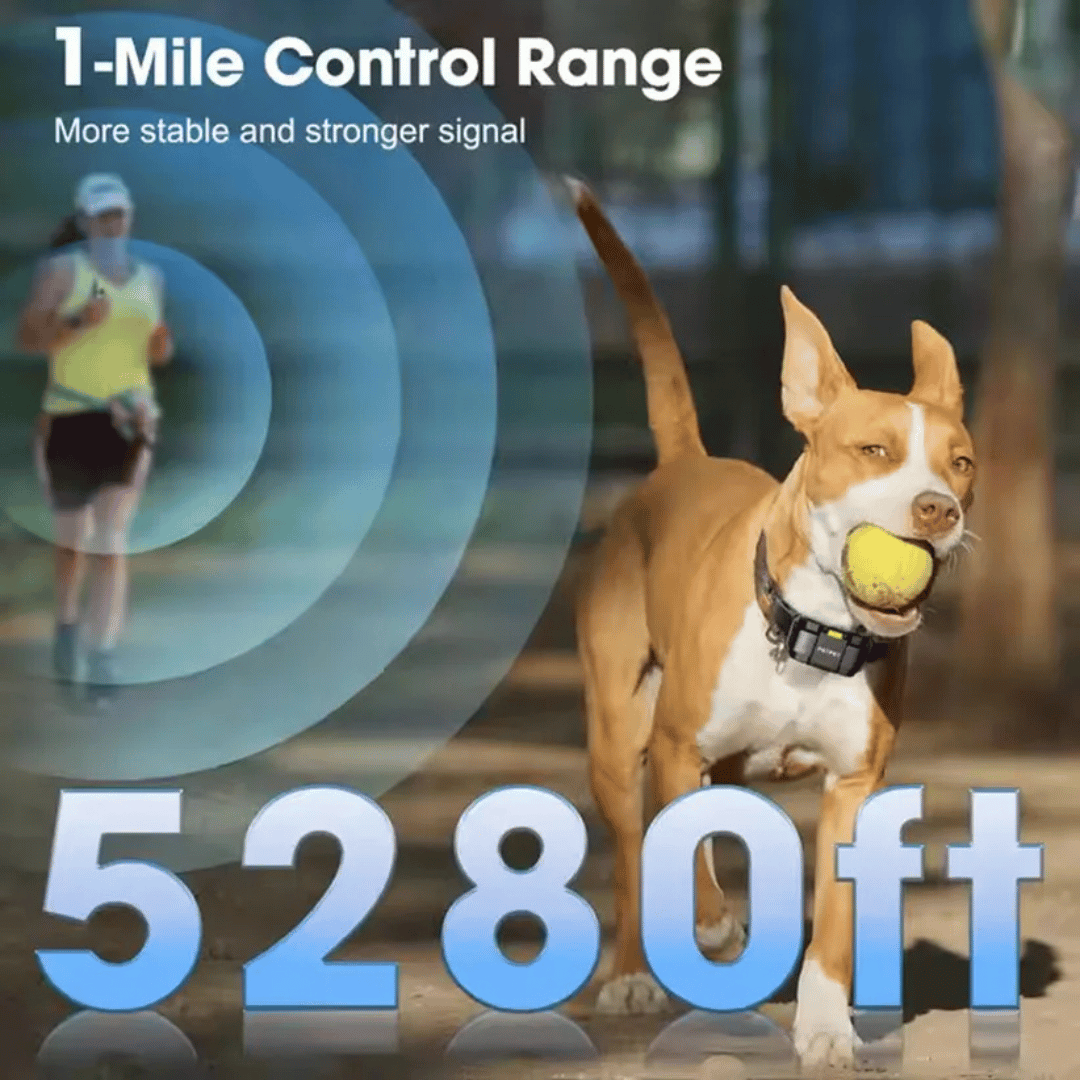 1 Mile Range Remote Dog Training Collar for Big & XL Dogs 11