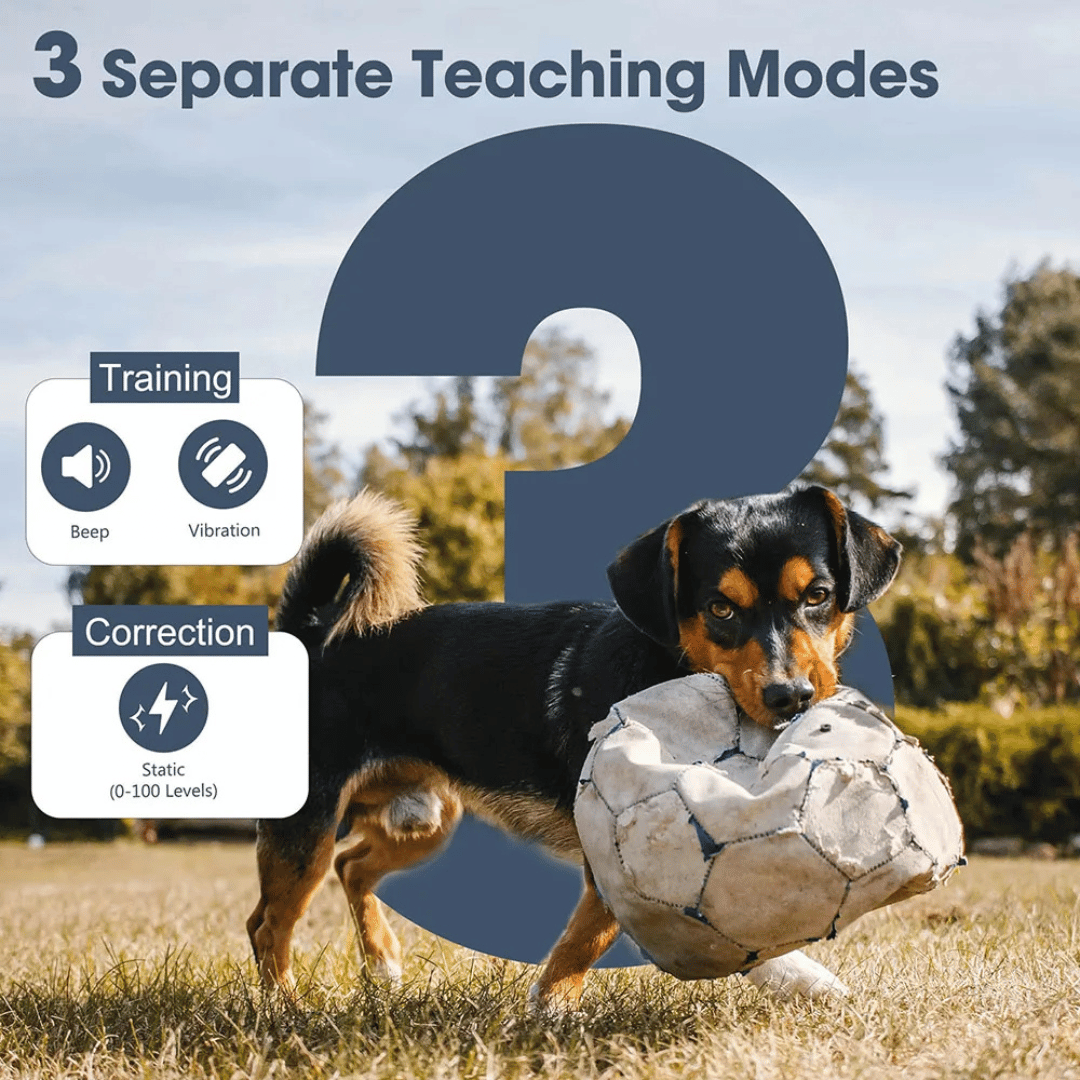 1 Mile Range Remote Dog Training Collar for Big & XL Dogs 12