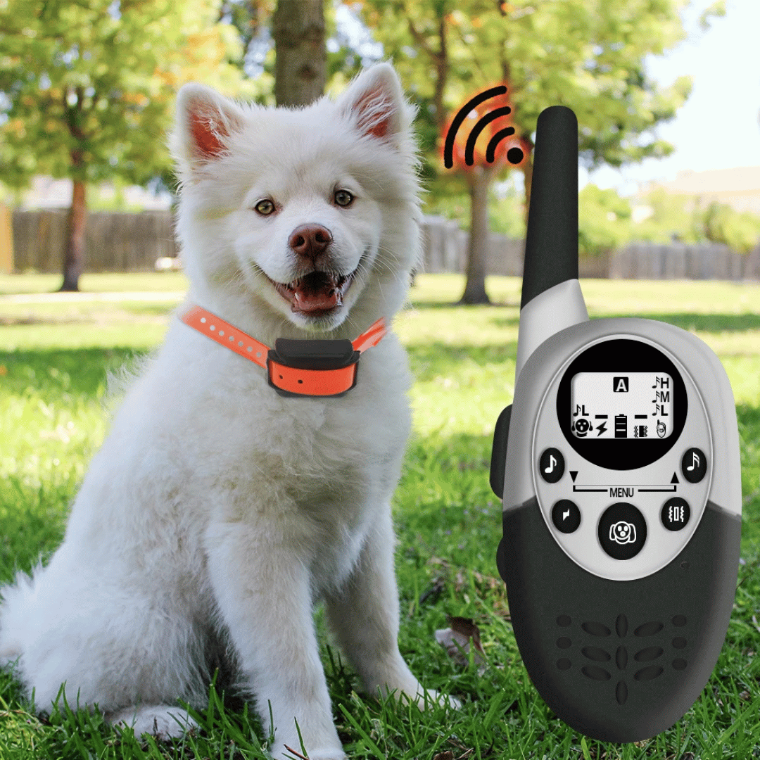 1000m Dog Training Collar & Receiver | Waterproof Anti-Bark E-Collar 2