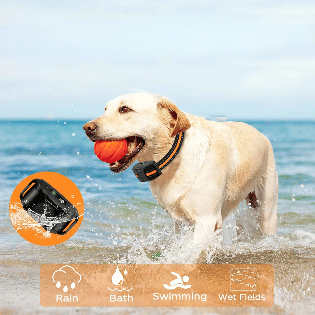 1000m Dog Training Collar & Remote Control 2