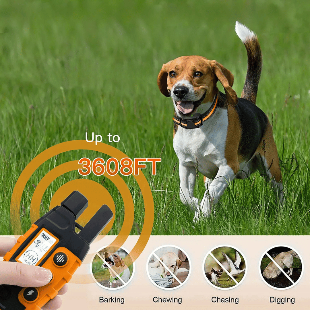 1000m Dog Training Collar & Remote Control 5