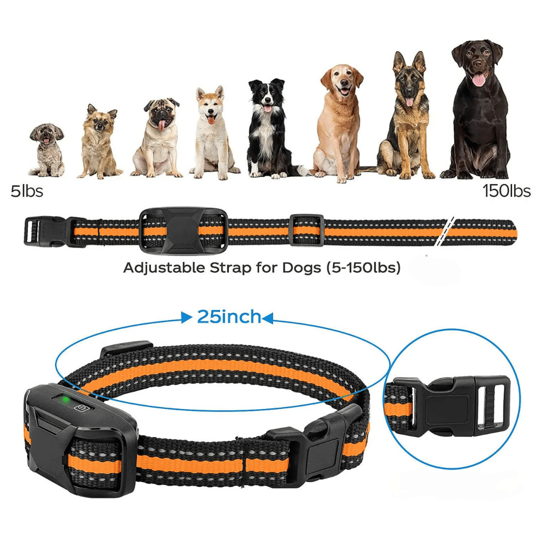 1000m Dog Training Collar & Remote Control 7