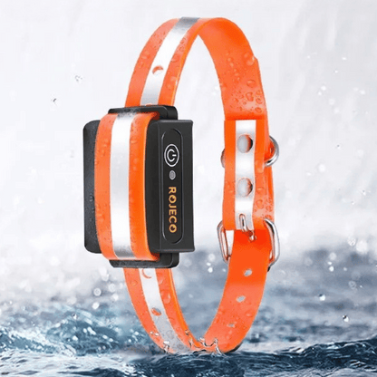 1000m e-Collar for Dog Training with Remote 6