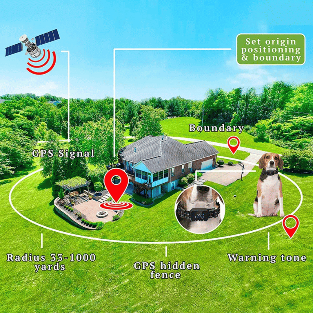 1000m GPS Wireless Dog Fence Containment System 5