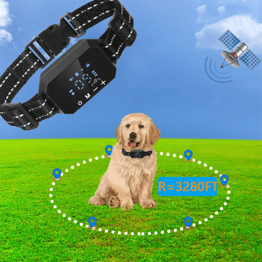1000m GPS Wireless Dog Fence Containment System 6