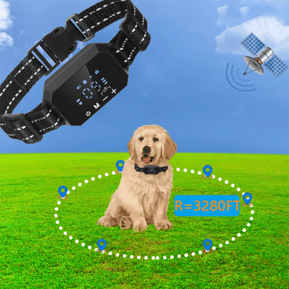 1000m GPS Wireless Dog Fence Containment System 6