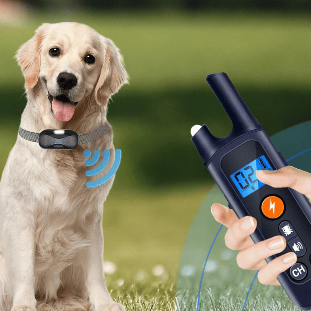 1000m Remote Controlled Dog Training Collar 2