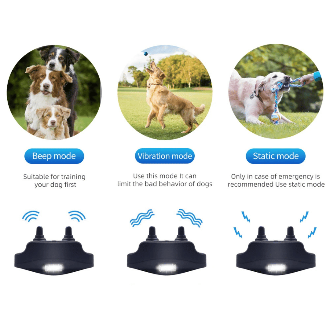 1000m Remote Controlled Dog Training Collar 4