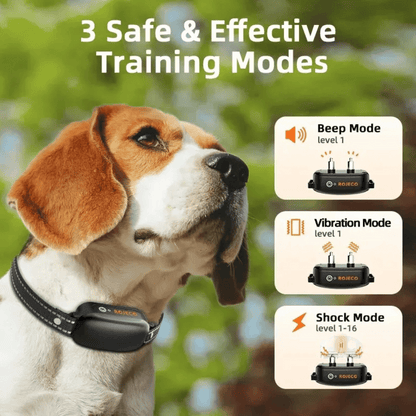 1000m Remote Dog Training Collar | Waterproof & Rechargeable E-Collar 4