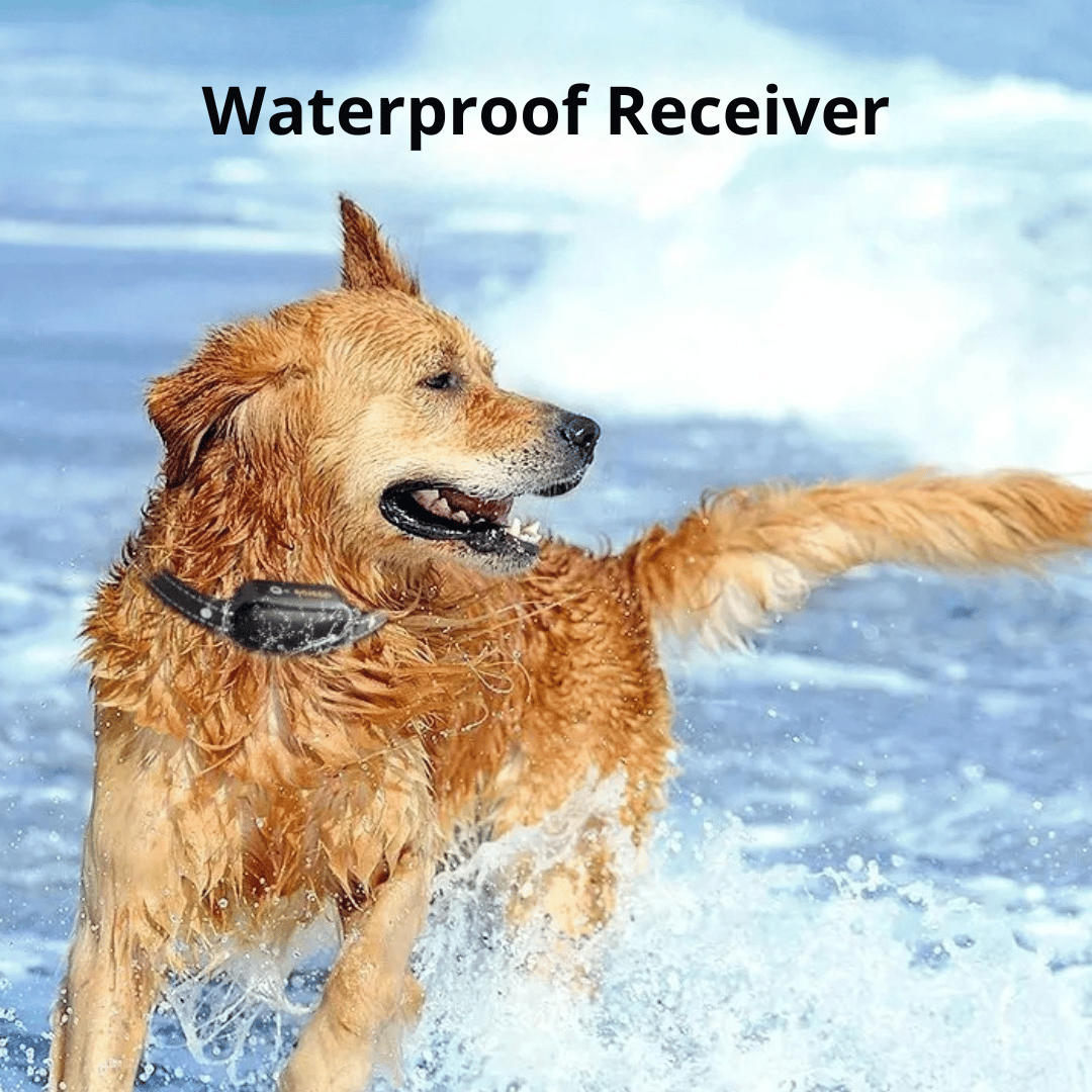 1000m Remote Dog Training Collar | Waterproof & Rechargeable E-Collar 9