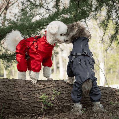 Waterproof Dog Jacket Jumpsuit with Built-In Harness
