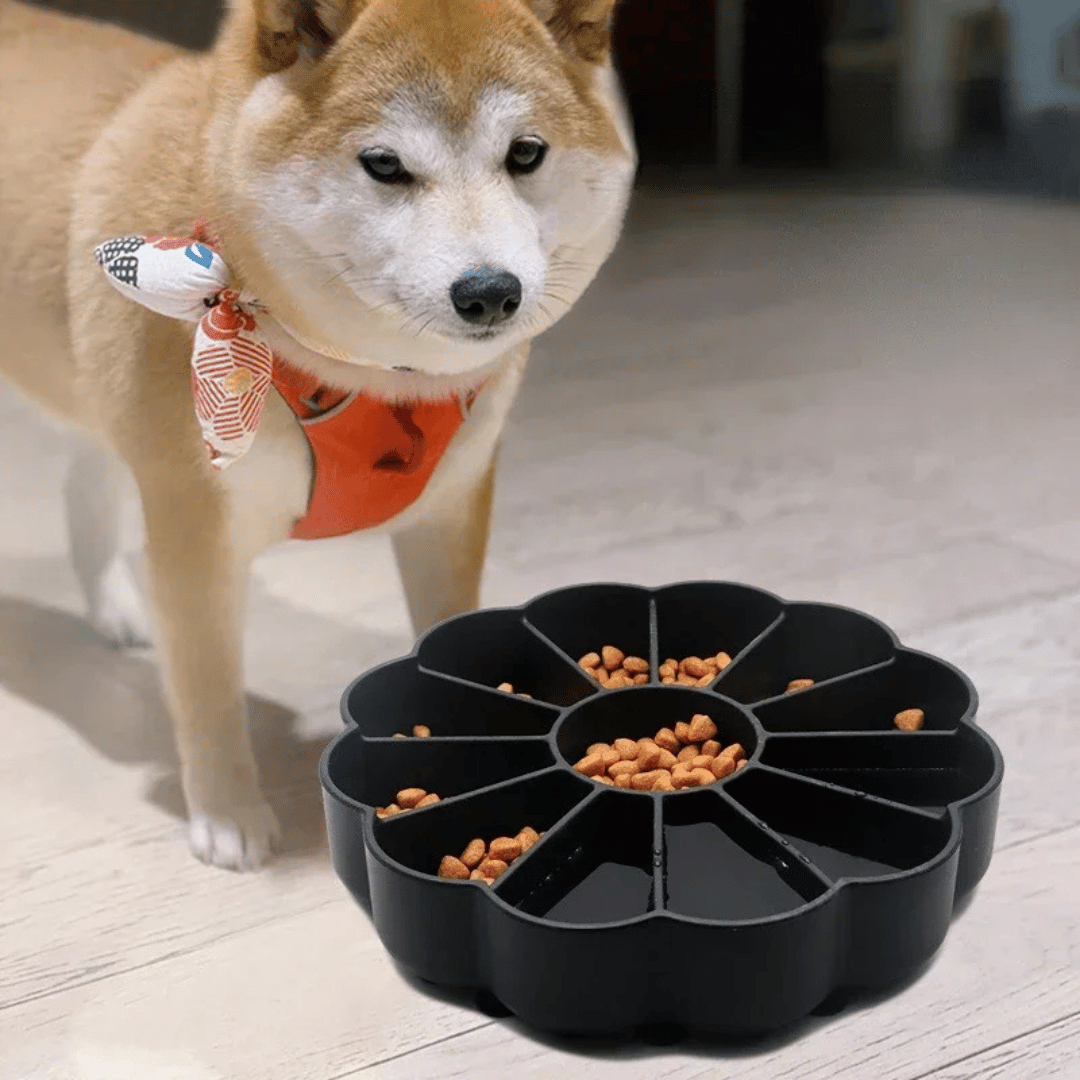 Slow Feeder Dog Bowl for Engaging & Healthy Eating | Dog Lick Bowl with Suction Cup Base 8