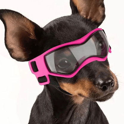 Small Breed Dog Goggles | Protective Dog Sunglasses for Wind & Sun