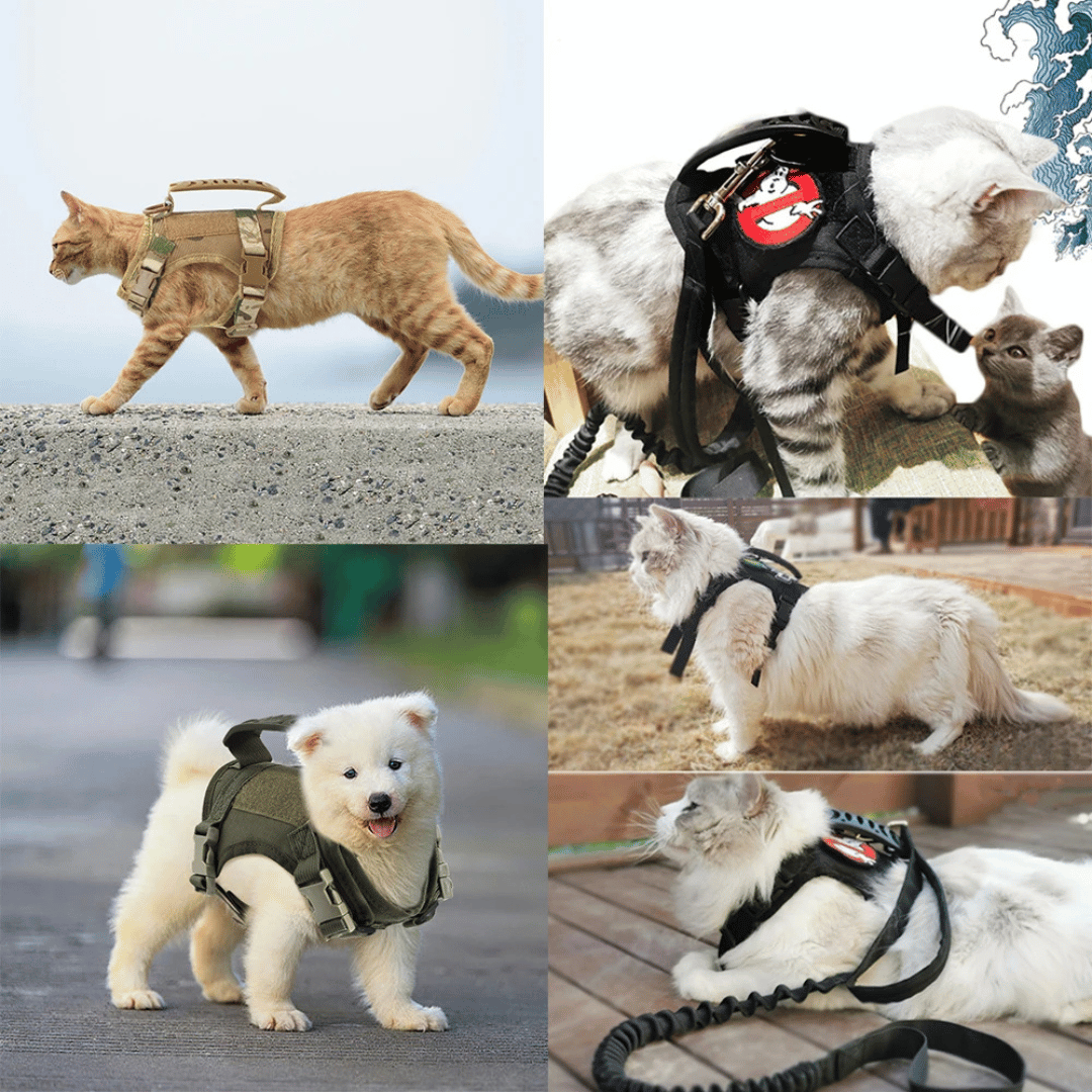 Military-Style Tactical Cat Harness & Leash 23