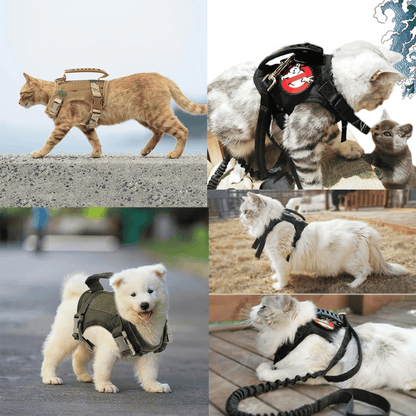 Military-Style Tactical Cat Harness & Leash 23