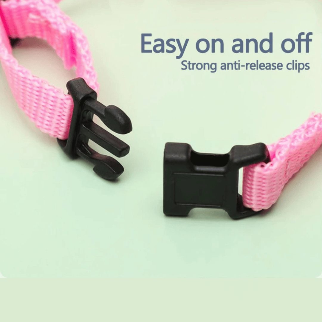 Adjustable Rabbit Harness & Lead Set 10