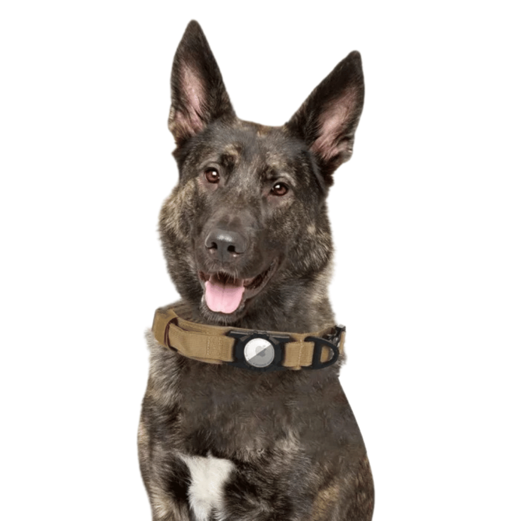 Heavy Duty Military-Style AirTag Holder Dog Collar | Tactical Air Tag Holder Collar 12