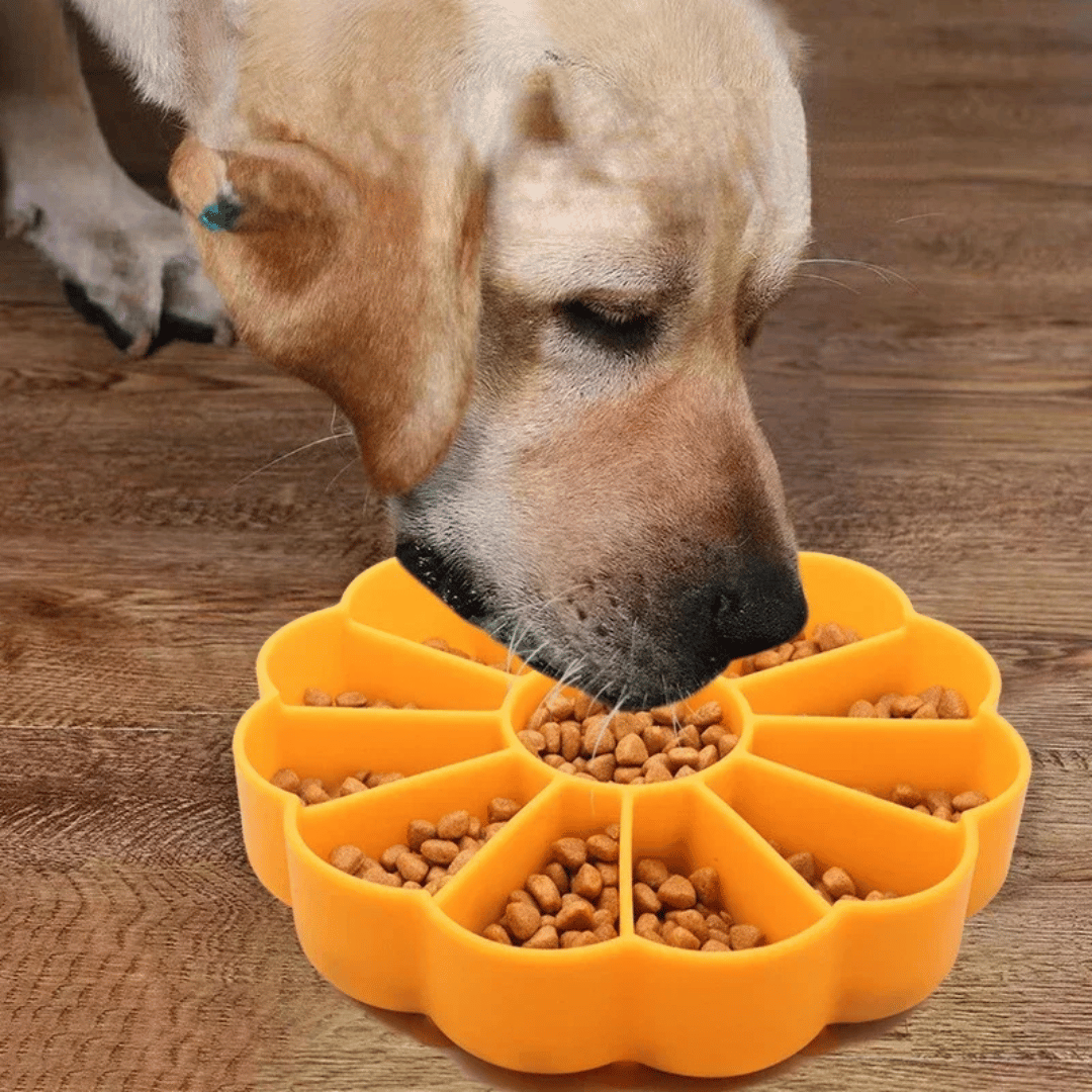 Slow Feeder Dog Bowl for Engaging & Healthy Eating | Dog Lick Bowl with Suction Cup Base 7