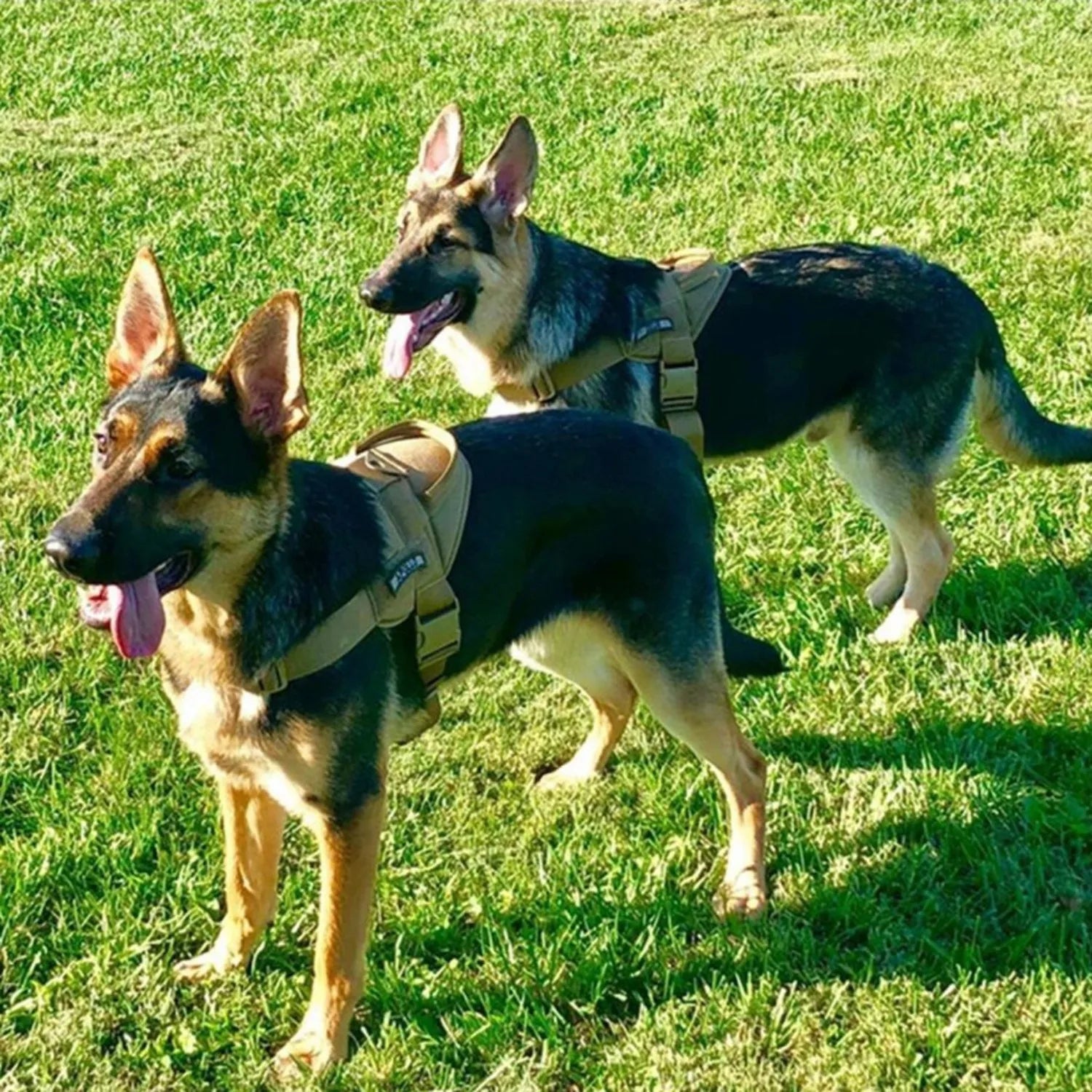 Supportive Military-Style Dog Harness for Big Dogs | Padded No-Pull Dog Vest with Handle 15
