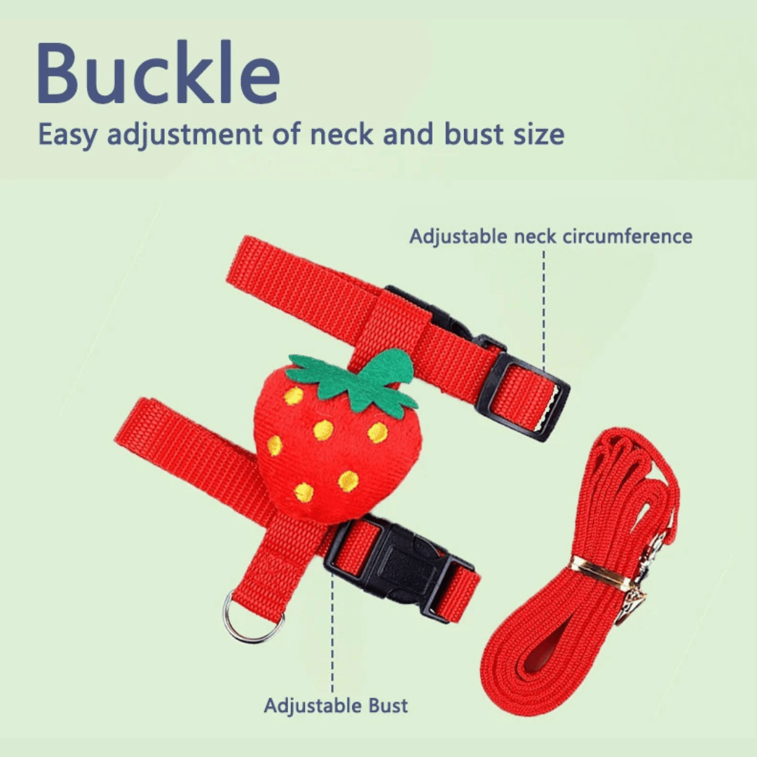 Adjustable Rabbit Harness & Lead Set 9