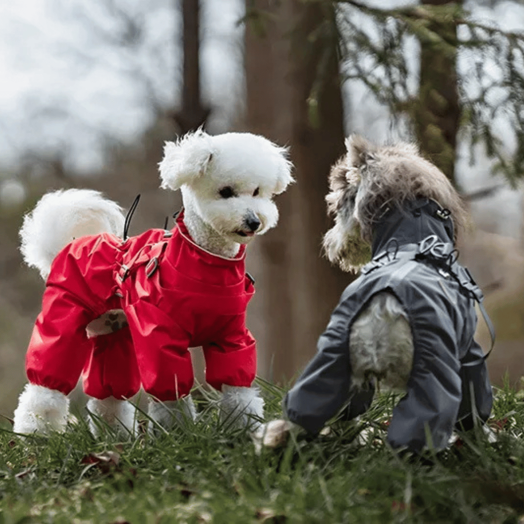 Waterproof Dog Jacket Jumpsuit with Built-In Harness