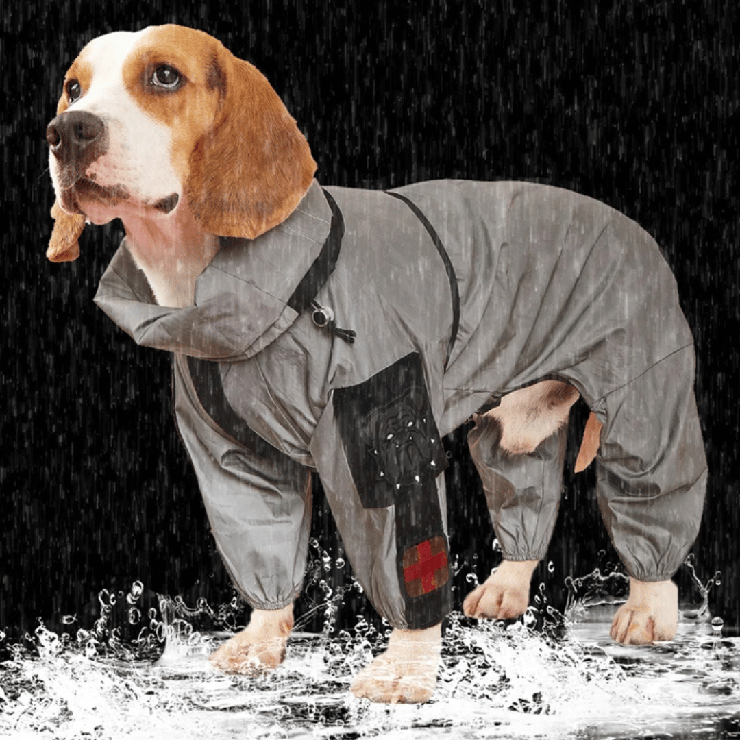 Reflective Full Body Dog Jacket with Adjustable Snood | Waterproof Dog Raincoat Jumpsuit